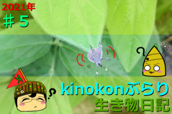 Thumbnail of post image 024